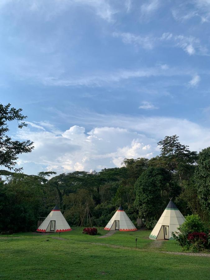 Hotel Bosque De Aventura & Glamping Refugio Del Bosque La Mesa  Esterno foto