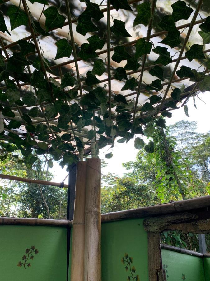 Hotel Bosque De Aventura & Glamping Refugio Del Bosque La Mesa  Esterno foto