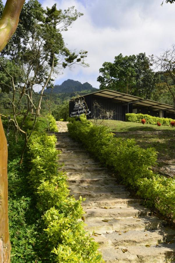 Hotel Bosque De Aventura & Glamping Refugio Del Bosque La Mesa  Esterno foto