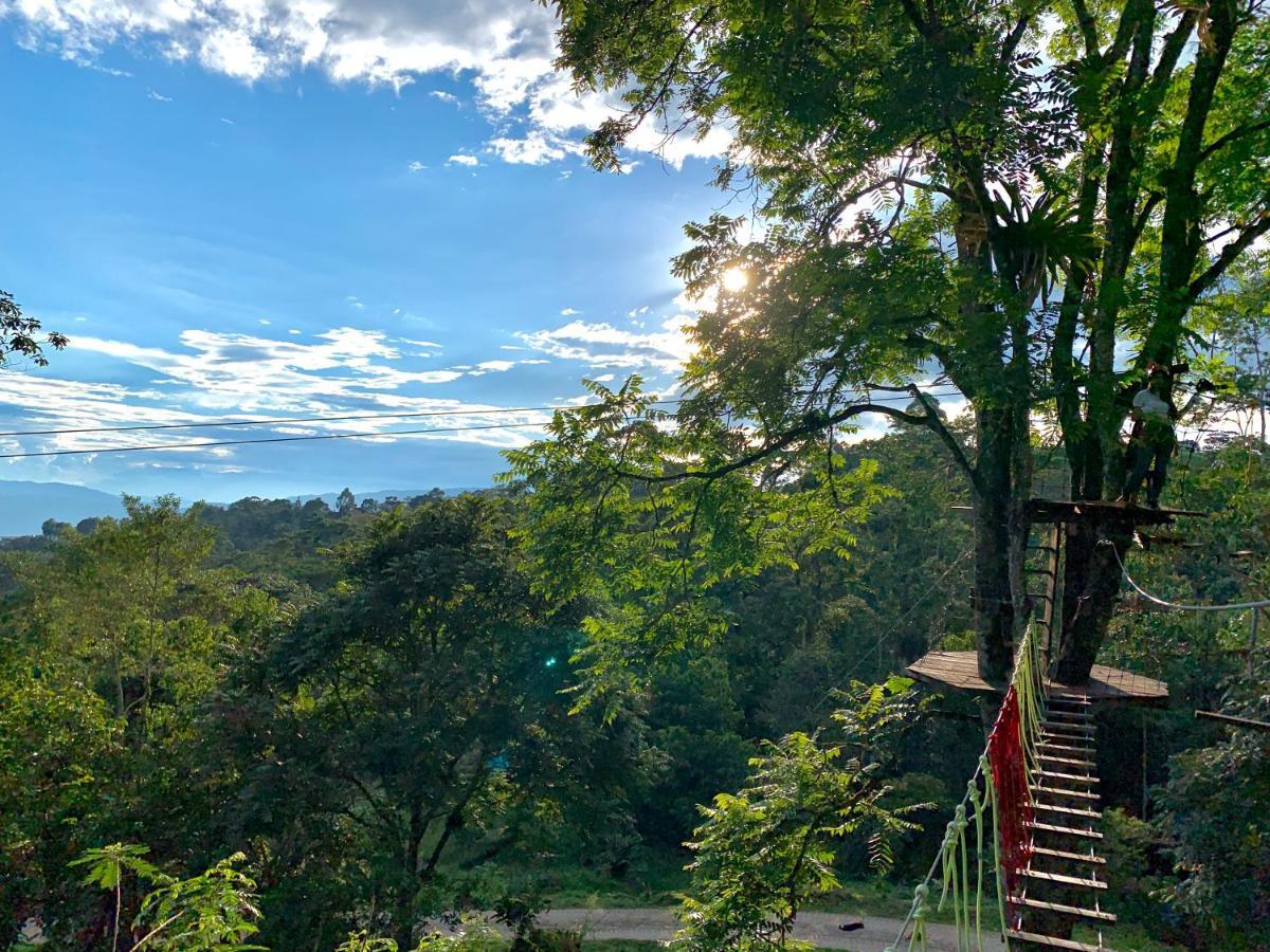 Hotel Bosque De Aventura & Glamping Refugio Del Bosque La Mesa  Esterno foto